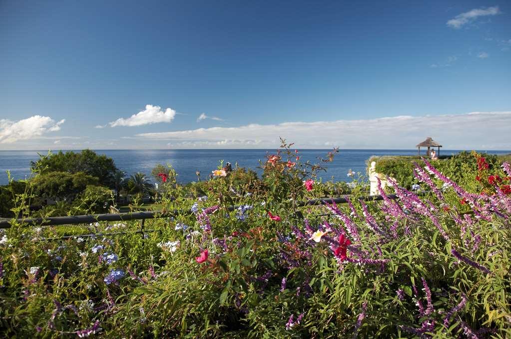 The Residence Porto Mare - Portobay Funchal  Udogodnienia zdjęcie